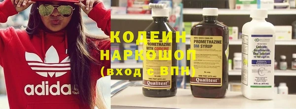 крисы Бородино