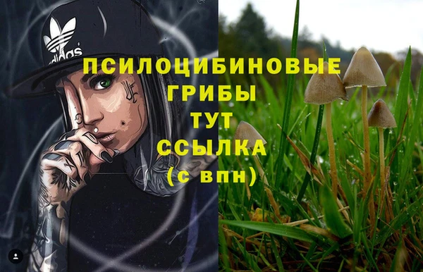 мяу мяу кристалл Богданович