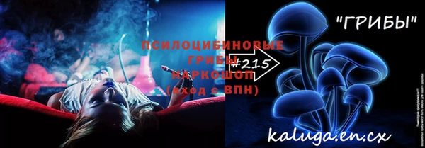 COCAINE Богородицк