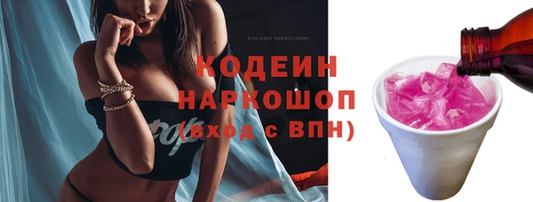 крисы Бородино