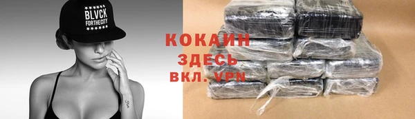 крисы Бородино