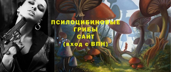 COCAINE Богородицк