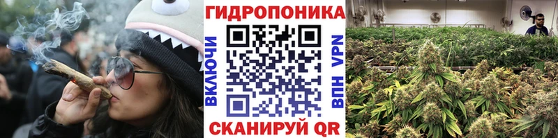 Марихуана семена  Тамбов 